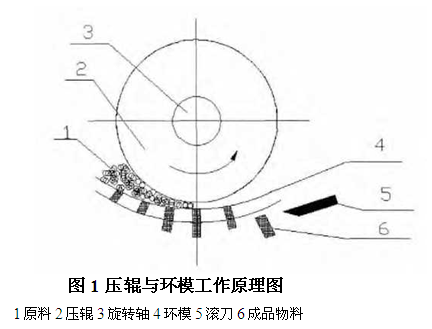 壓輥與環(huán)模工作原理圖