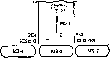 自動(dòng)包裝機(jī)的碼垛機(jī)外送圖