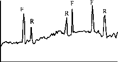 稱重儀動(dòng)態(tài)實(shí)驗(yàn)記錄圖